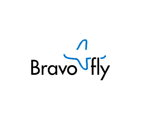 bravo_fly-481x410