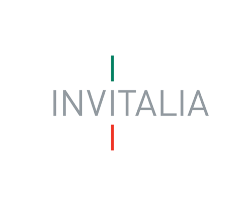 invitalia-481×410 invitalia-481x410